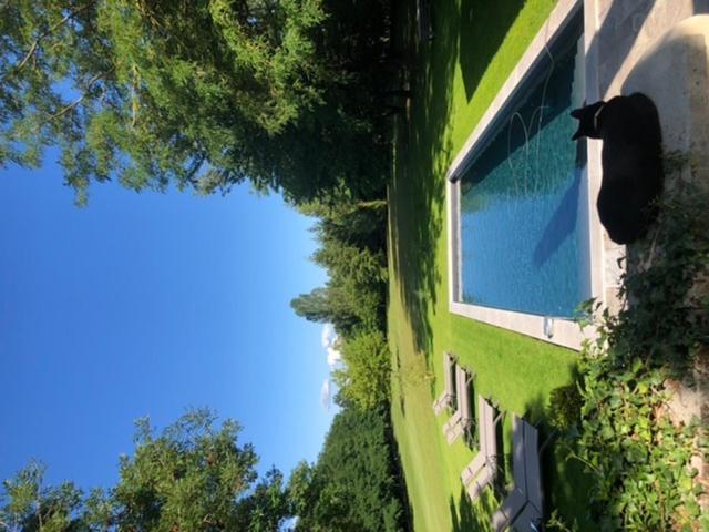 Bed and Breakfast La Ferme de Gringalet Anthon Esterno foto