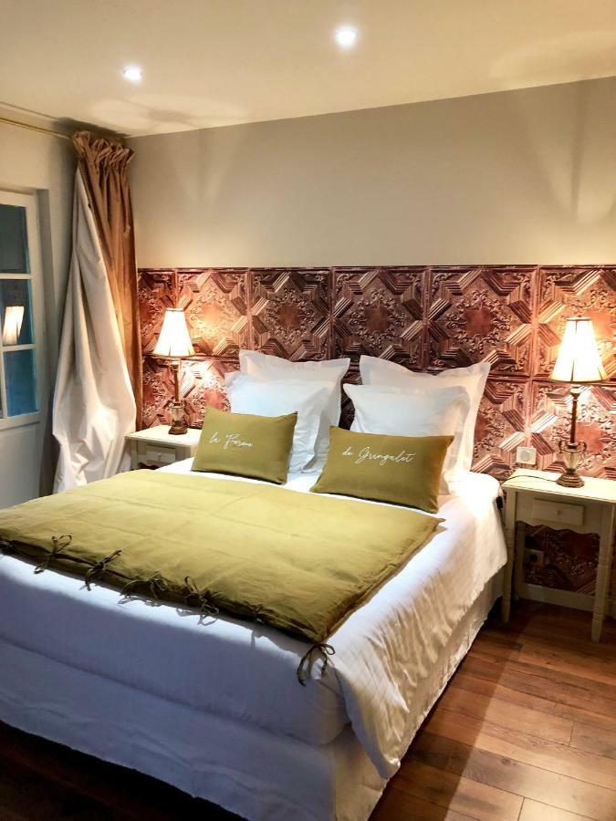 Bed and Breakfast La Ferme de Gringalet Anthon Esterno foto